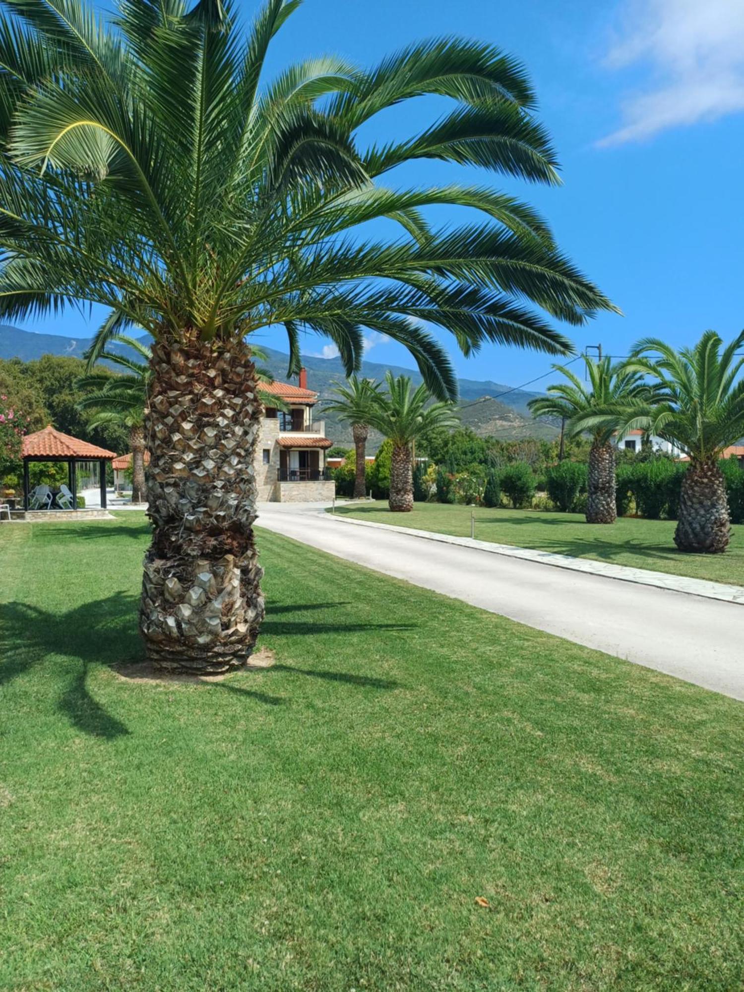 Villa Kallimanis Platanidia Exterior photo